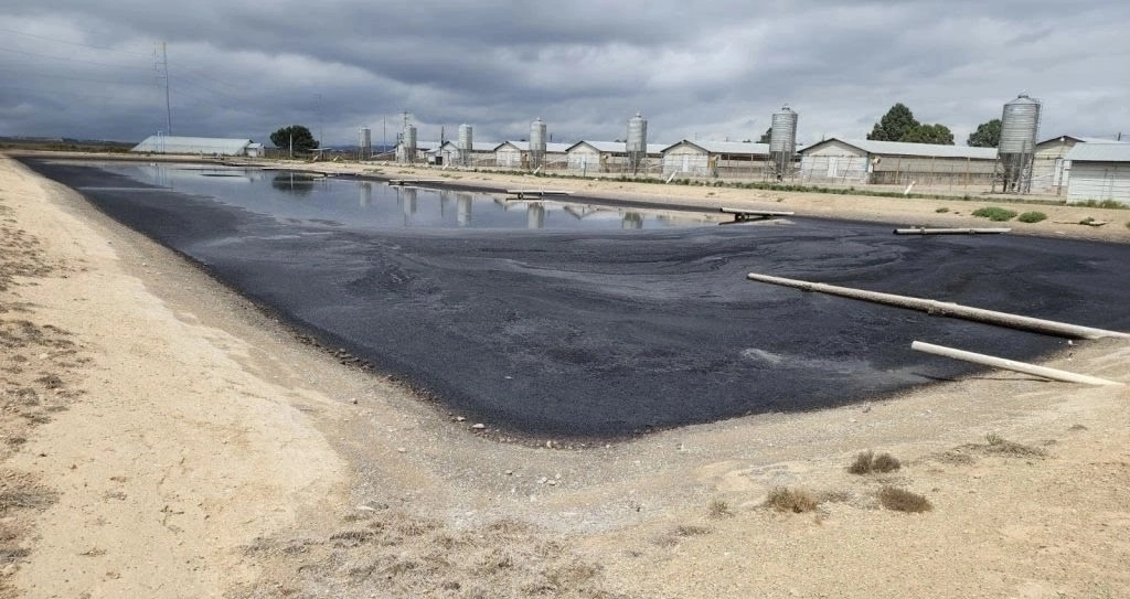 Los inconformes agregaron que es conocido que la presencia de granjas de este tipo impacta de manera negativa en el suelo y subsuelo de la zona, así como en los cuerpos de agua. Foto Carlos Nava

