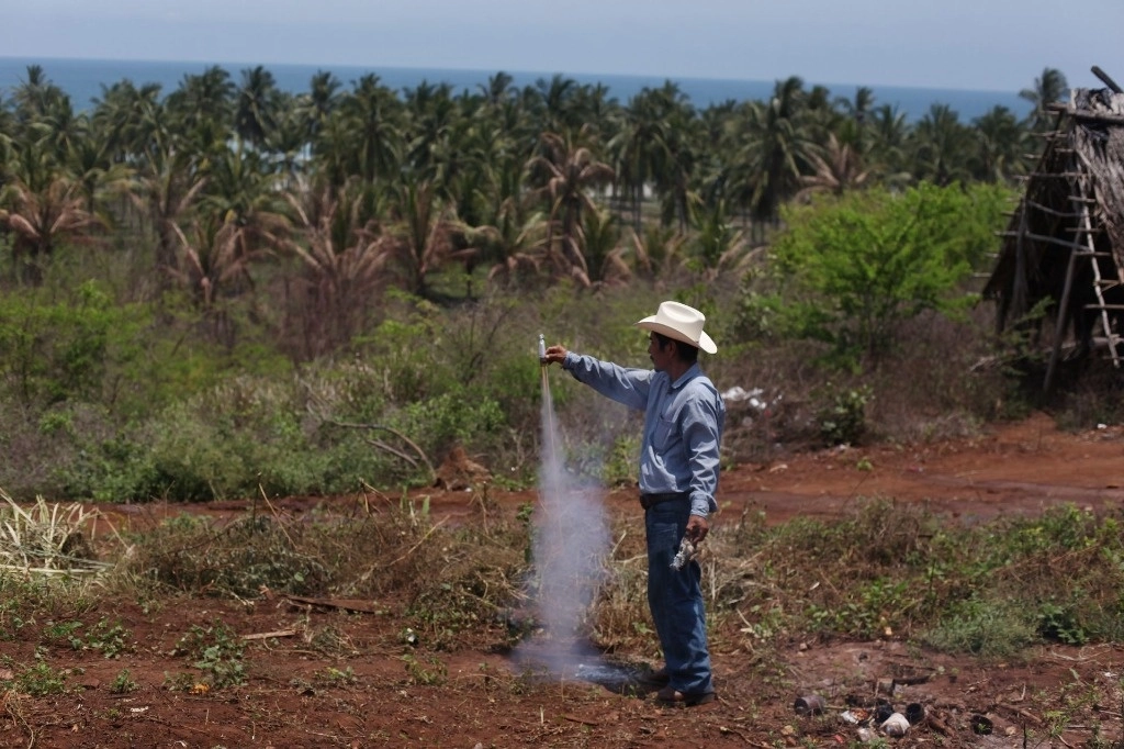 Habitantes de Santa María Ostula señalan que pequeños propietarios y el crimen organizado se encuentran interesados en los terrenos de la comunidad de Xayalacan. Foto  Cuartoscuro / Archivo
