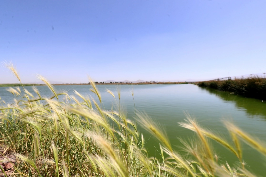 El río Xalapango y la laguna Ciénega de San, en la imagen, son dos de los cauces que deben ser redireccionados hacia el lago de Texcoco. Foto Roberto García Ortiz