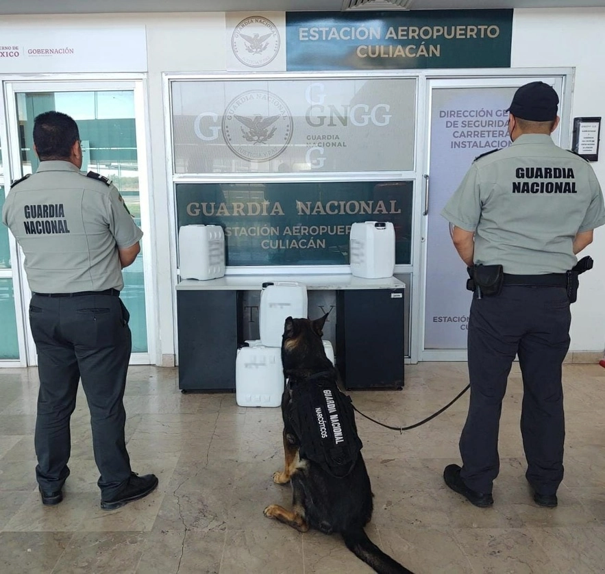 La GN estimó que su valor en el mercado negro supera los 27 millones de pesos.Foto cortesía GN