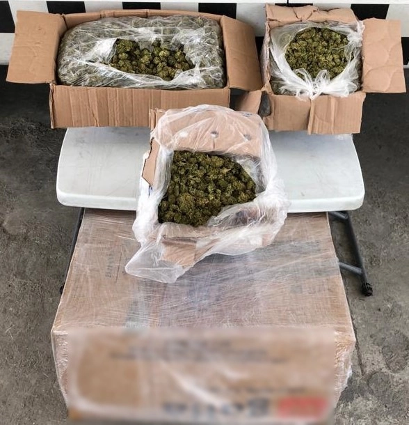 Algunos de los paquetes localizados por la Sedena en envíos de empresas de mensajería. Foto Guardia Nacional