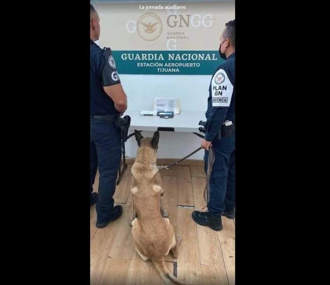 Un envío de 150 pastillas de fentanilo, ocultas en un portarretrato, fue descubierto por elementos de la Guardia Nacional en el Aeropuerto Internacional de Tijuana. Foto cortesía de la GN