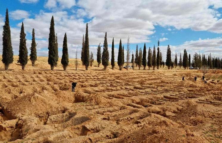 Excavaciones de tumbas en imagen de archivo. Foto Afp