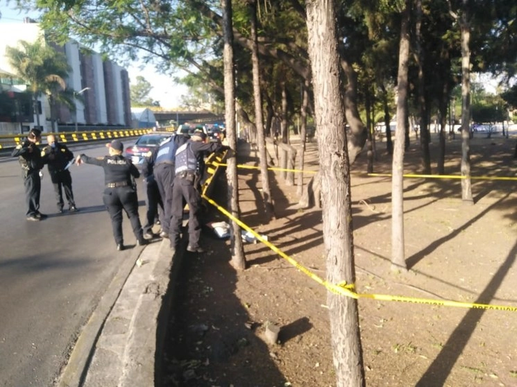 Policías fueron alertados sobre el hallazgo. Foto @luizalane