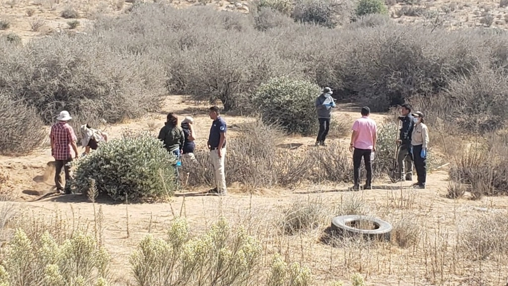 Grupo de búsqueda realizando sus actividades en el predio señalado. Foto cortesía Lindero Norte