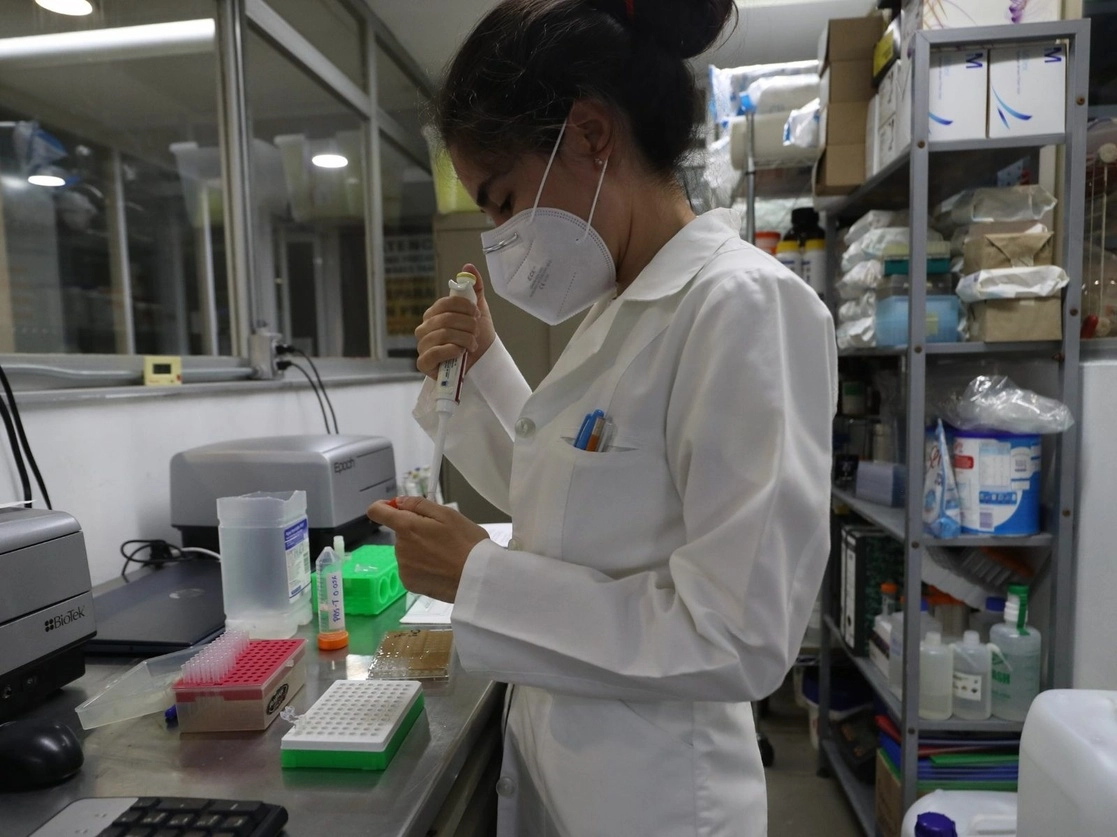 Investigadores británicos encontraron cinco genes asociados a casos graves de Covid-19. Foto Yazmín Ortega Cortés / Archivo 