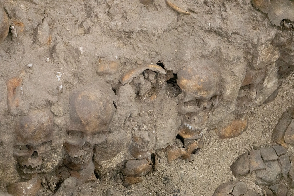 Según los especialistas, hay dos cráneos empalados que corresponden a menores que estaban mudando de dientes. En otros casos, son restos de individuos que se hacían incisiones dando filo a cada pieza dental para distinguirse de los demás. Foto Pablo Ramos