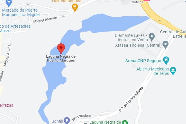 Las autoridades policíacas recibieron el reporte poco antes de las 7 de la noche, de que en la laguna negra de Puerto Márques se encontraban los cuerpos de las personas. Imagen Google maps