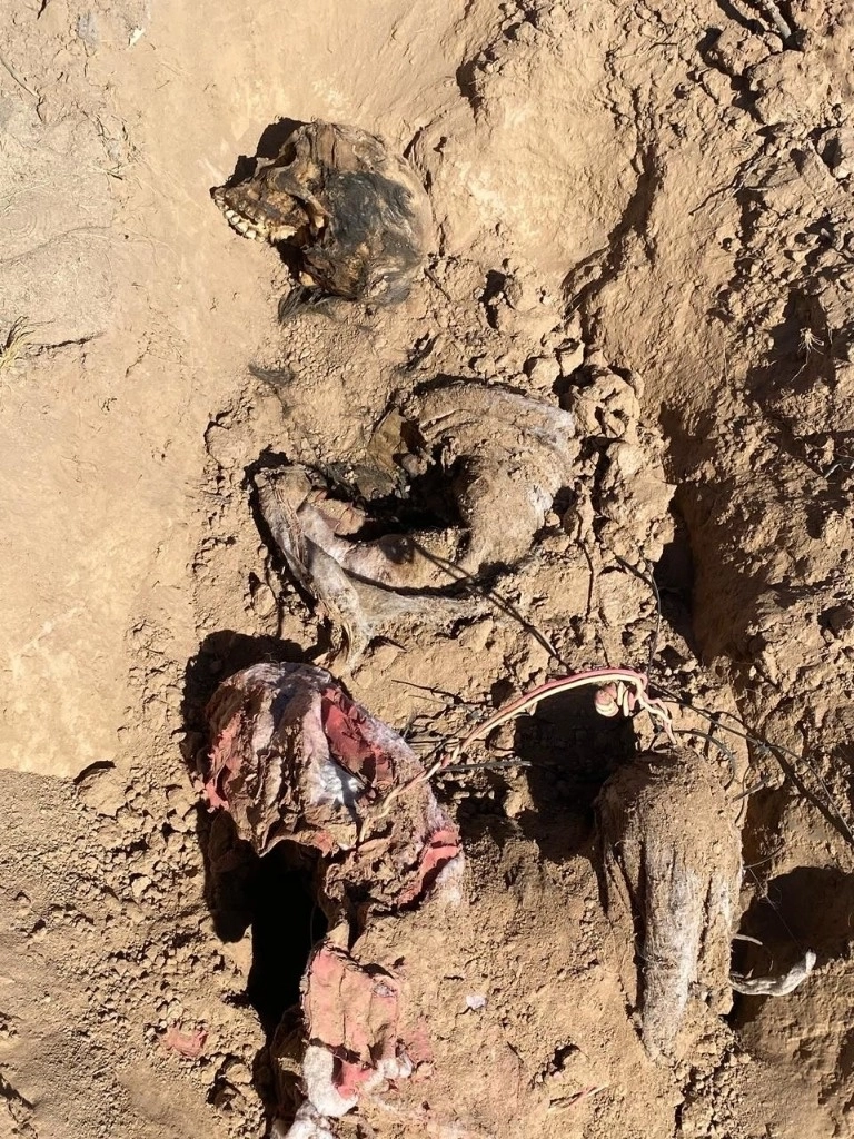 Hallazgo de fosas clandestinas. Foto: La Jornada