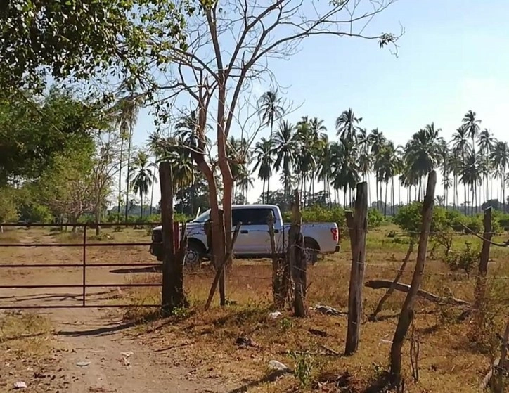 En diciembre, según la FGE, se encontraron tres cuerpos en una fosa clandestina en la carretera Cerro de Ortega-El Chupadero, del municipio de Tecomán, después se descubrió otro terreno con tres fosas en la carretera El Paraíso-Armería (en la imagen) con siete cuerpos. Foto La Jornada / Archivo