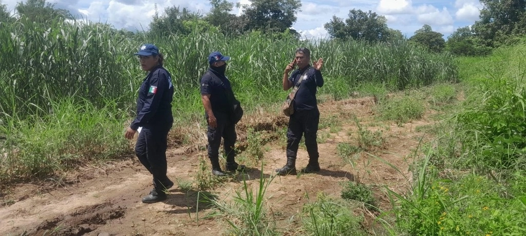 La policía acudió a una zona de caña donde fueron localizados dos cuerpos de presuntos migrantes en Huixtla, Chiapas. Foto Especial para La Jornada