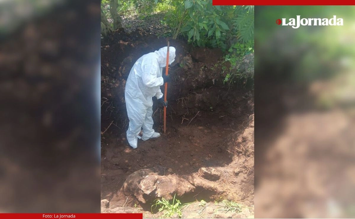 "El área intervenida corresponde a una fosa de aproximadamente 2.70 metros de extensión, la cual fue explorada con métodos técnicos, incluyendo pozos de sondeo forenses", precisó la fiscalía nayarita.