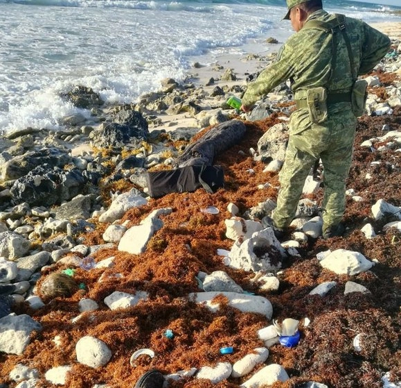 La droga fue entregada al MP en Playa del Carmen, Quintana Roo, para que se inicie la carpeta de investigación respectiva. Foto cortesía de Sedena 