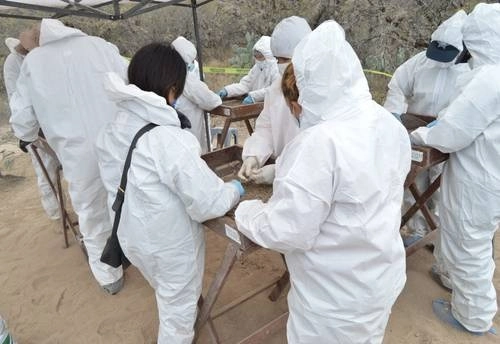 Peritos de la Fiscalía General de San Luis Potosí examinan tres kilogramos de fragmentos óseos encontrados en el municipio de Soledad de Graciano Sánchez, conurbado a la capital del estado, en febrero de 2020. Foto cortesía de la FGE