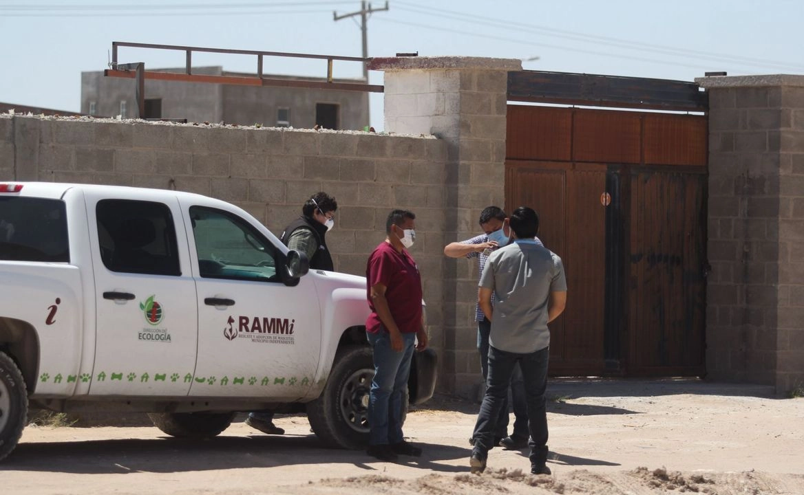 Los cuerpos fueron encontrados la noche del jueves pasado, algunos estaban desnudos y otros envueltos en cobijas, amontonados dentro de habitaciones sin refrigeración, incluso con varios meses desde su fecha de muerte y en estado semi esquelético, otros recién embalsamados.