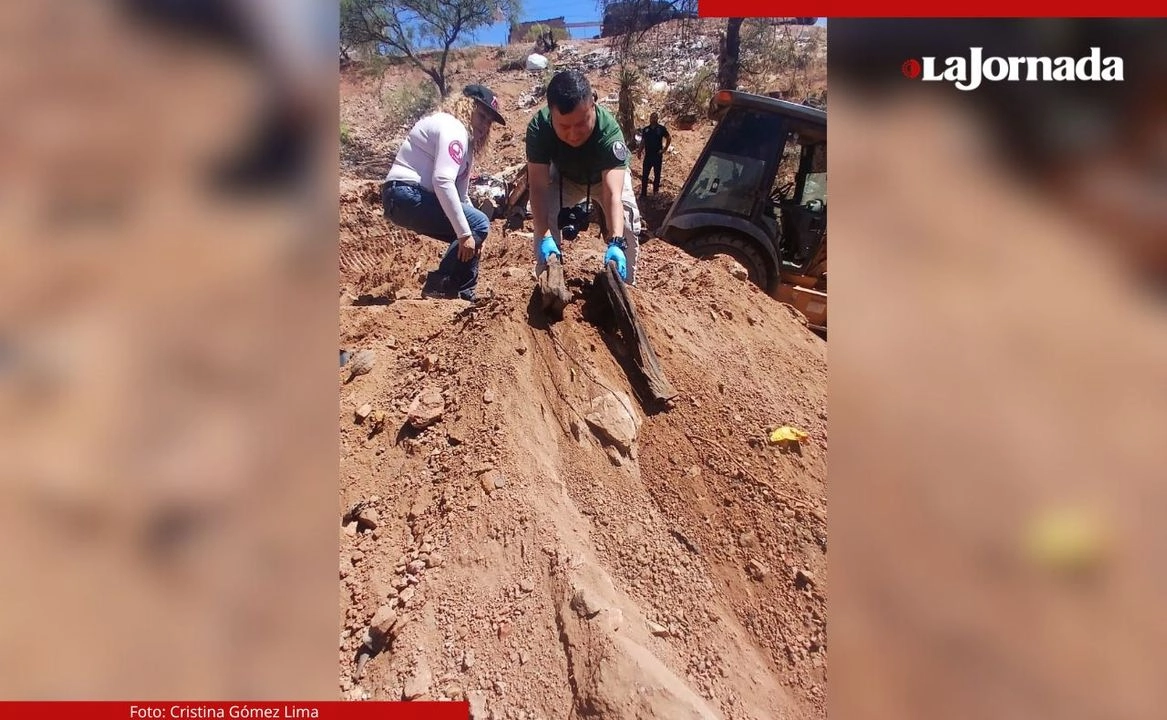 El colectivo Madres Buscadoras de Sonora hallaron la fosa clandestina en las inmediaciones de la colonia Bella Vista del municipio de Nogales. Foto 