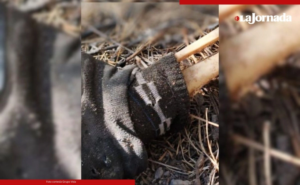 El grupo de buscadores comentaron que la cabeza estaba separada del cuerpo y que el cuerpo aún presentaba algunas prendas como los calcetines. Foto