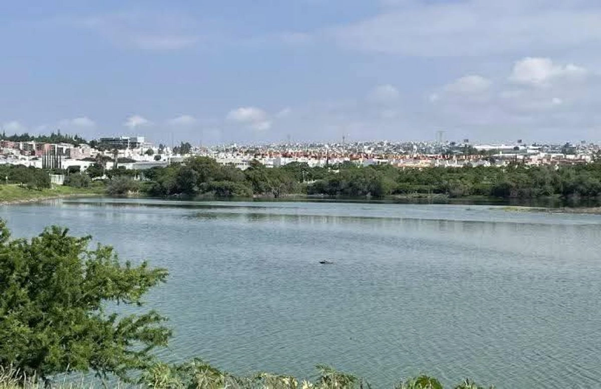El cadáver de una persona desconocida fue hallado flotando la mañana del sábado en el bordo ubicado en la parte posterior del Parque Querétaro 2000, en la capital queretana. Foto