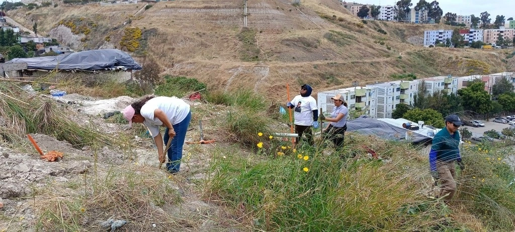 Integrantes del colectivo Buscando a Tolano realiza la búsqueda de fosas clandestinas en el fraccionamiento Infonavit Cachanillas, en Tijuana, BC. Foto Tomada de https://www.facebook.com/buscandoatolano  
