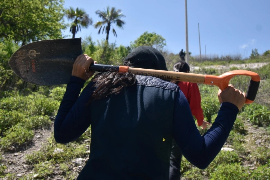 Jornada de búsqueda de desaparecidos en Chilpancingo, en imagen de archivo. Foto Cuartoscuro