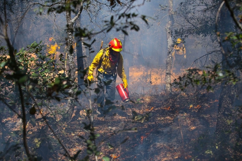 Brigadas participan en combatir el fuego en comunidades del estado de Guanajuato. Foto Cuartoscuro 
