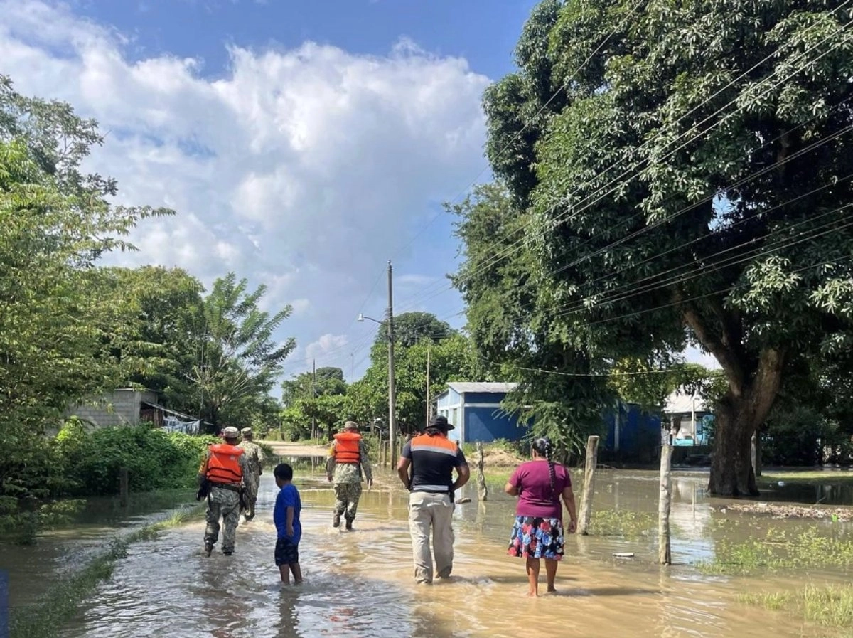 La secretaria del Bienestar, Ariadna Montiel, reportó por entidad las 70 mil 445 censadas hasta ahora: 43 mil 578, en Veracruz; 10 mil 811, Puebla; 8 mil 938, San Luis Potosí; 5 mil 56, Hidalgo, y 2 mil 62 en Querétaro.