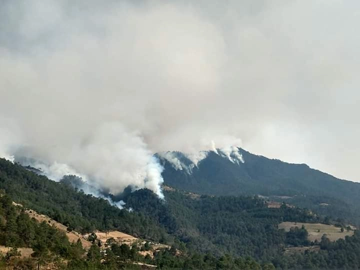 Este sábado fue desalojada Micuauhtla, en Puebla, luego de que un incendio se acercara a la comunidad. Foto Efraín Núñez