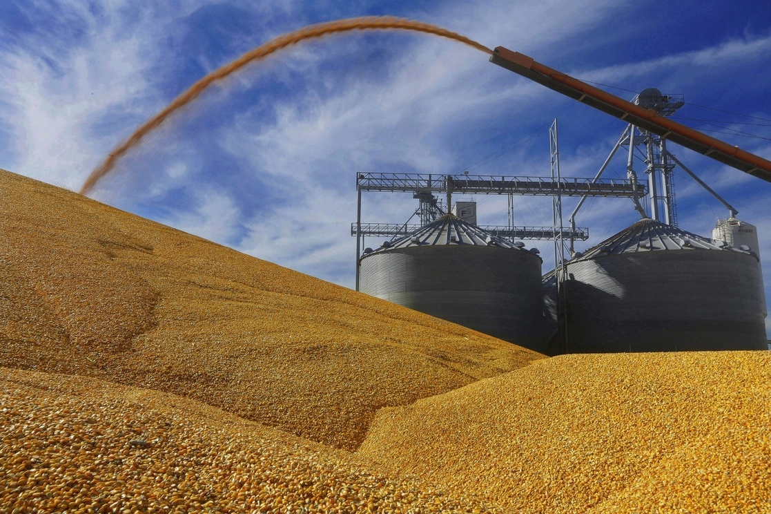 El plan de México para limitar las importaciones de maíz transgénico "no es una situación que lleve a un punto de acuerdo", dijo el secretario de Agricultura de Estados Unidos, Tom Vilsack. La imagen, en Virginia, Illinois. Foto Ap / Archivo