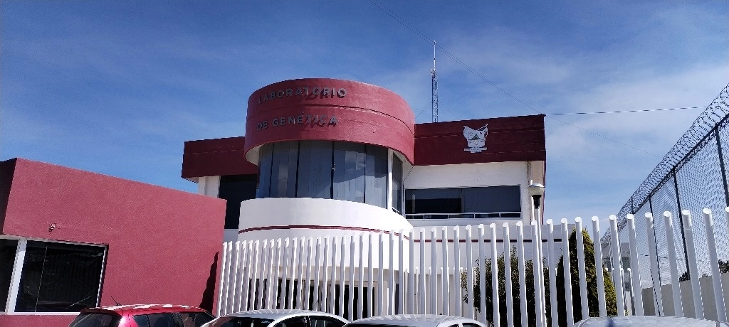 De acuerdo con algunos peritos entrevistados que pidieron el anonimato tanto para no recibir represalias por su decisión de suspender labores, como para protegerse de delincuentes, el pasado 22 de octubre fue detenido Ipalnemohuani De La Cruz por agentes de la Policía Ministerial, acusado de cambiar o modificar indicios que fueron examinados por él y otros de sus compañeros. Foto Laboratorio de Genética de la PGJH 