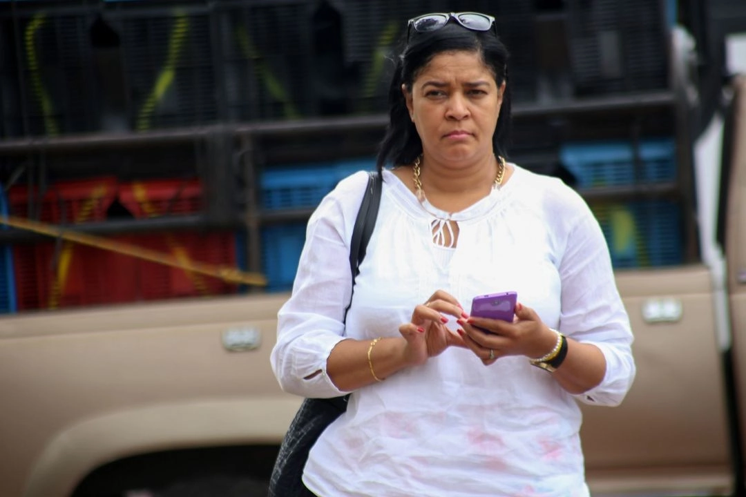 Según María Imilse, de 2014 a 2015 se desempeñó como Directora General Adjunta de Análisis de Información, en la Secretaría de Gobernación (Segob), realizando análisis de información, reclutamiento y selección de perfiles de autodefensas para formar la Fuerza Rural.