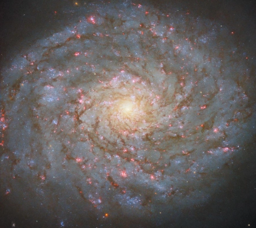 Para la agencia espacial, el programa de observación de 2024 es un ejemplo interesante de cómo el Hubble (un telescopio extraordinariamente productivo durante más de tres décadas) y el telescopio espacial James Webb se complementan. Foto Europa Press