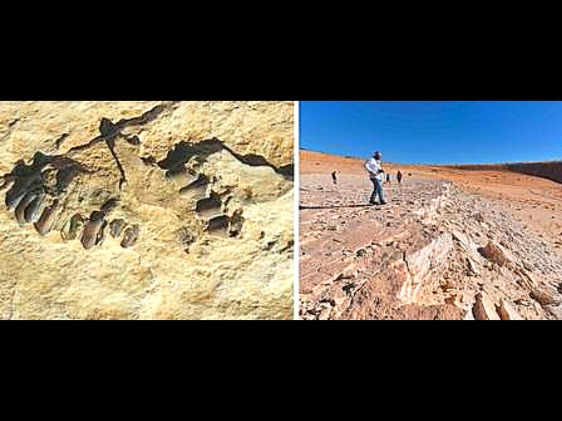 Fósiles de pisadas animales en la superficie de Alathar, que se muestra a la derecha. Foto Afp