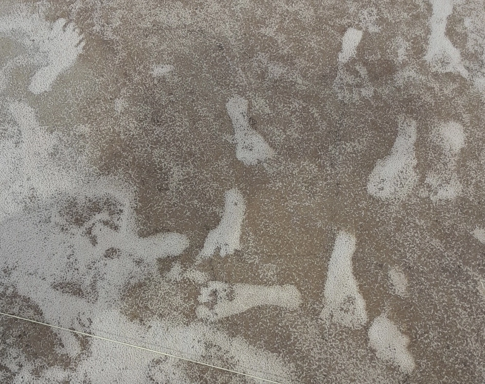 Las pisadas de personas rellenas de arena de yeso blanco en el Parque Nacional White Sands. Foto NPS vía Ap 



