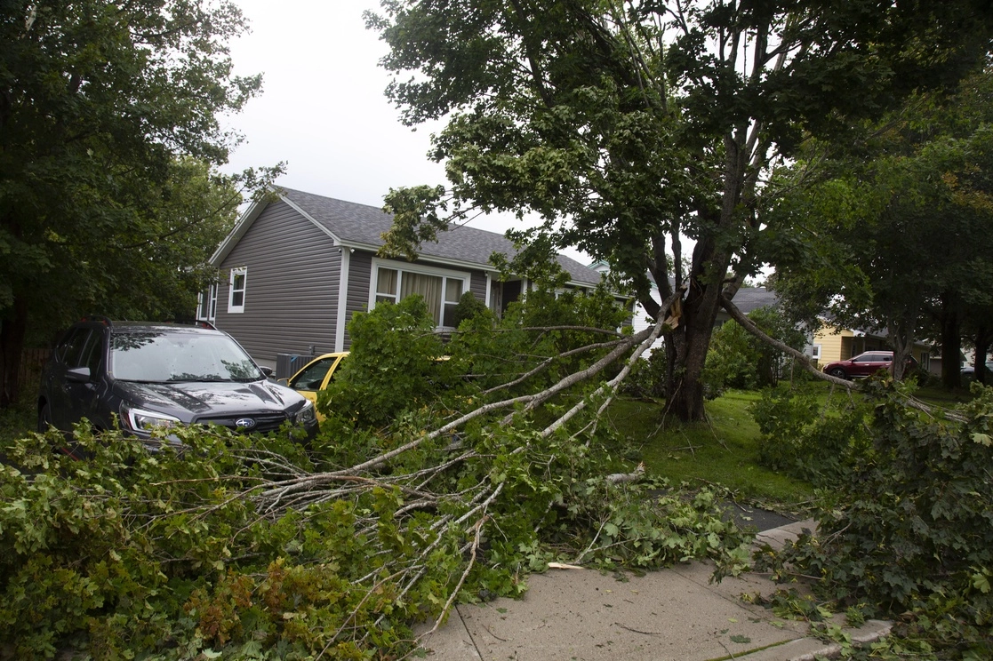 Ramas de árboles, que cayeron por el huracán, tapan la salida de una casa en San Juan Terranova. Foto Ap