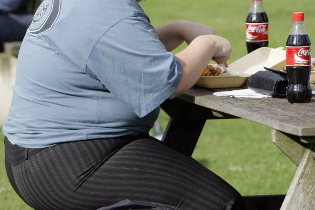 La neuritina 1, a diferencia de algunos fármacos actuales contra la obesidad y la diabetes que actúan suprimiendo el apetito, aumenta la quema de energía gracias a su función metabólica en la grasa parda especializada en la generación de calor mediante un proceso conocido como termogénesis.