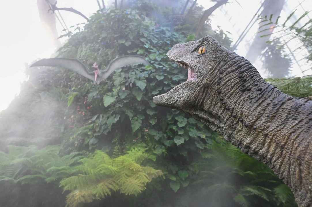 Dinosaurios animatrónicos y esculpidos se exhiben durante una vista previa de "Jurassic World: The Experience" en Cloud Forest, Garden by the Bay, Singapur, el 26 de mayo de 2025. 