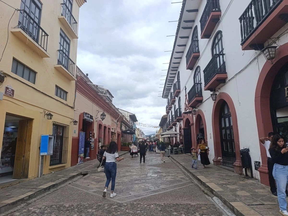 La gentrificación ha sido provocada en parte por los dueños de casas, locales y espacios situados en el centro histórico de la ciudad, ya que “elevaron excesivamente el costo de las rentas”, sin que alguna instancia del gobierno intervenga para regularlas.