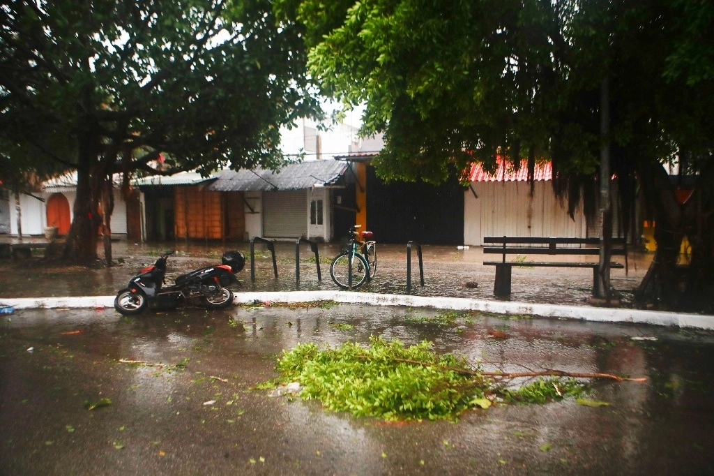 El huracán 'Beryl' tocó tierra la madrugada de este viernes en la ciudad de Tulum, Quintana Roo. El paso del meteoro dejó varios árboles caídos, el 5 de julio de 2024. Foto Víctor Camacho



