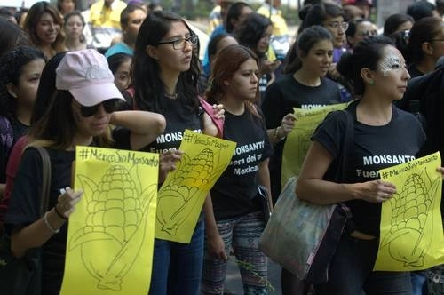 En imagen de archivo, protesta en la Ciudad de México contra Monsanto. Foto Víctor Camacho