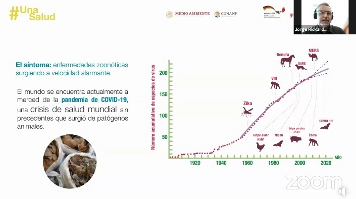 Durante la presentación de la campaña "Una salud, ¿Podemos evitar el brote de nuevas pandemias como la del Covid-19?", el 4 de agosto de 2021. Imagen tomada de la transmisión en vivo a través del Facebook de @WWF.Mexico