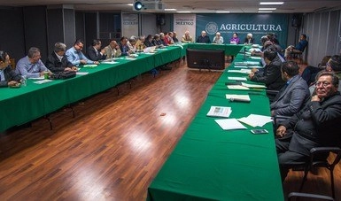 El reto es lograr la seguridad alimentaria así como mejorar las condiciones de vida de los productores del campo, acordaron. Imagen tomada de https://www.gob.mx/agricultura/prensa