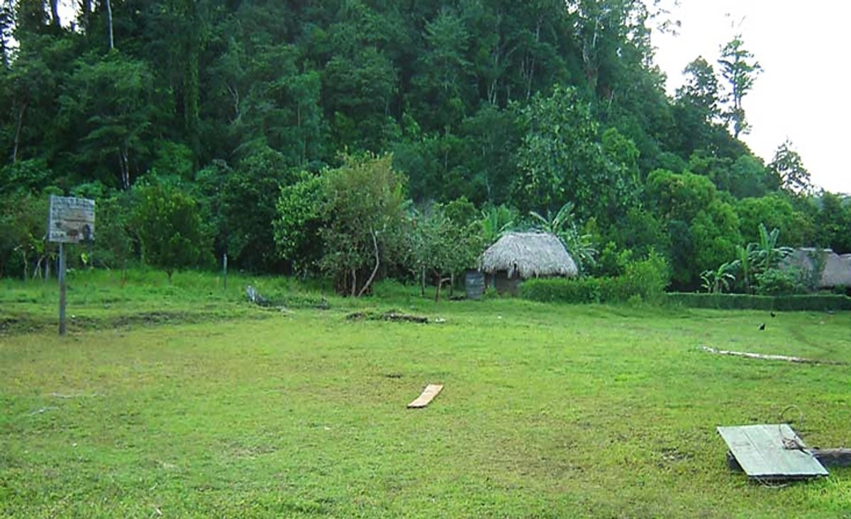 De acuerdo con investigaciones realizadas por la agrupación Xi’nich, con sede en Palenque, “apoyada por el colectivo de organizaciones de la sociedad civil que integramos entonces la Misión Civil de Observación, los agresores iban acompañados y protegidos por 300 elementos de la entonces Policía Sectorial de Chiapas.