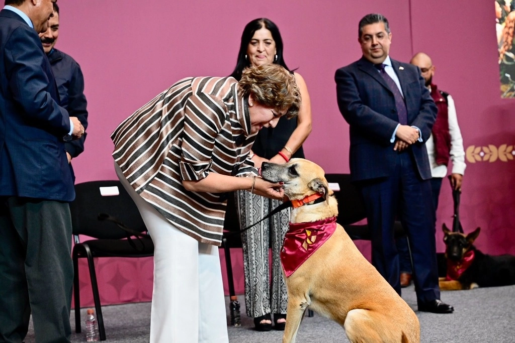 La gobernadora con un lomito callejero que será puesto en adopción. Foto de su perfil de X