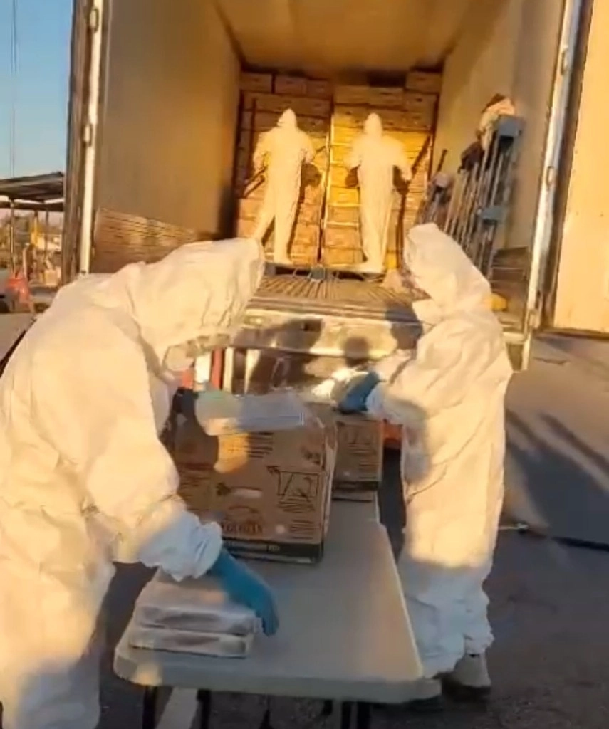 Tras una revisión minuciosa de la unidad, descubrieron múltiples paquetes de cocaína hábilmente escondidos entre las cajas de fruta. Foto La Jornada