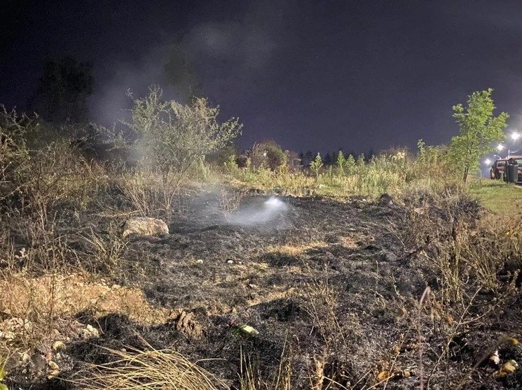 Las brigadas especiales de la Comisión Forestal de Michoacán (COFOM) y de Protección Civil actuaron oportunamente gracias a la denuncia de pobladores cercanos a la zona. Foto 'La Jornada'