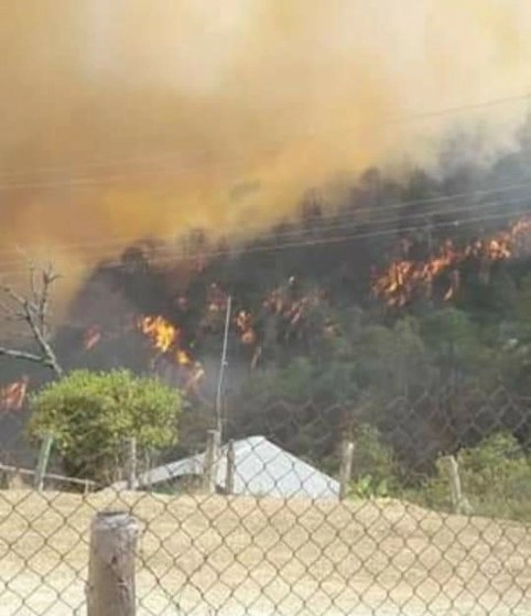Varias hectáreas de bosques se encuentran bajo llamas en Segundo Las Pilas. Fotos Protección Civil Nicolás Flores