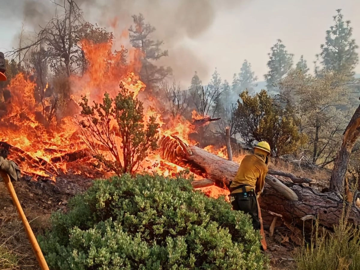 La administración del Parque Nacional Sierra de San Pedro Mártir mantiene limitado el acceso a visitantes hasta que las condiciones permitan reabrir con seguridad.