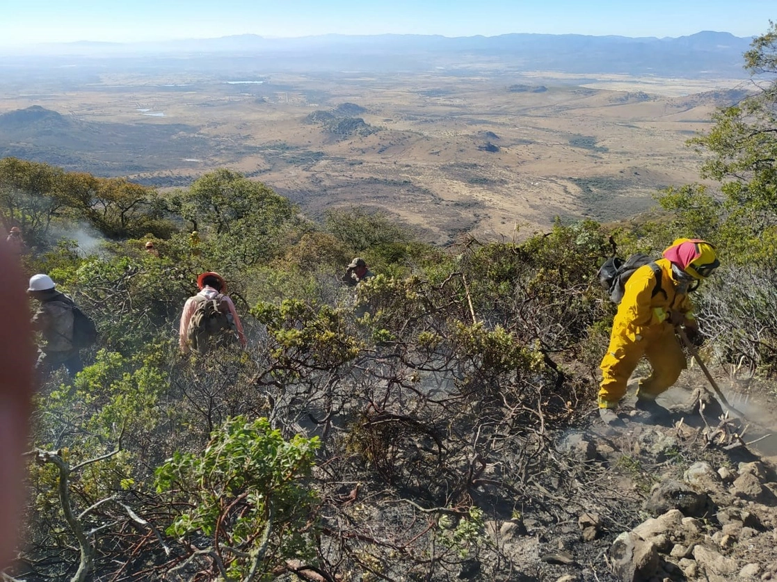 Brigadistas trabajan en la Sierra del Cubo, donde se registró un incendio que ha consumido al menos 120 hectáreas de vegetación. Foto La Jornada