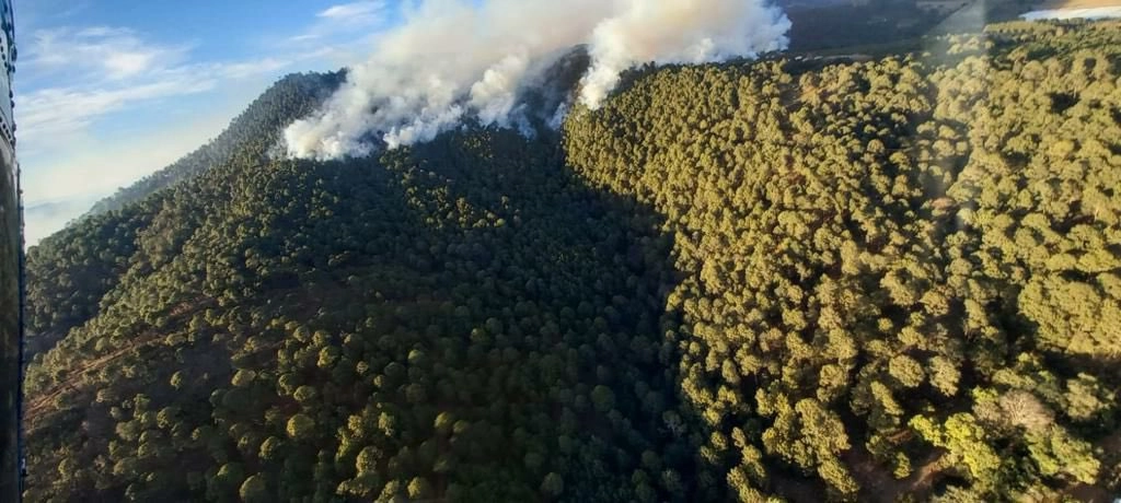 Aunque ya bajo control, por lo menos 380 hectáreas del Cerro Pelón, en el municipio jalisciense de Mazamitla, fueron consumidas por el incendio forestal iniciado el jueves pasado. Se espera la cifra final de bosque afectado una vez que los brigadistas terminen las labores de enfriamiento. Foto cortesía Semadet