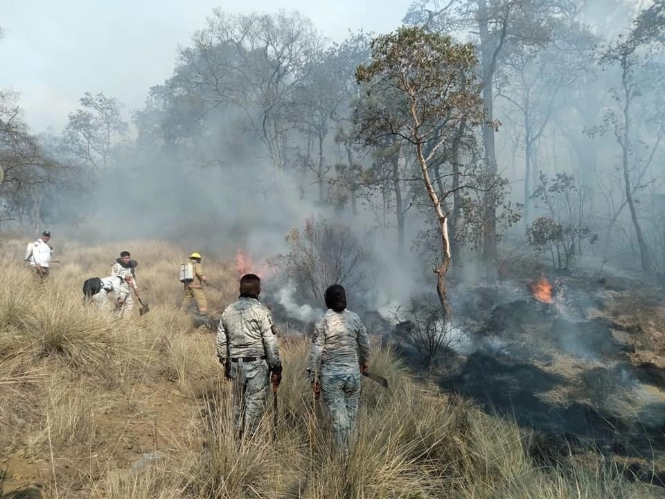 Al menos 150 personas participan en el combate a las llamas. Foto 'La Jornada' 